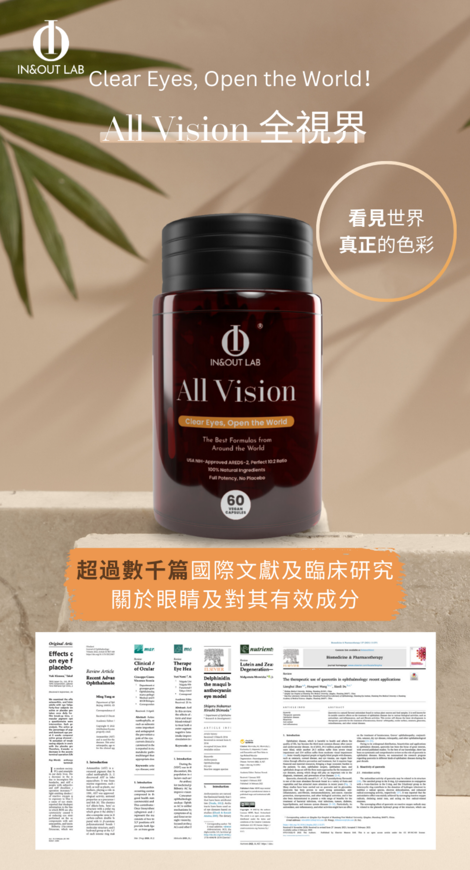 眼睛保健文獻研究