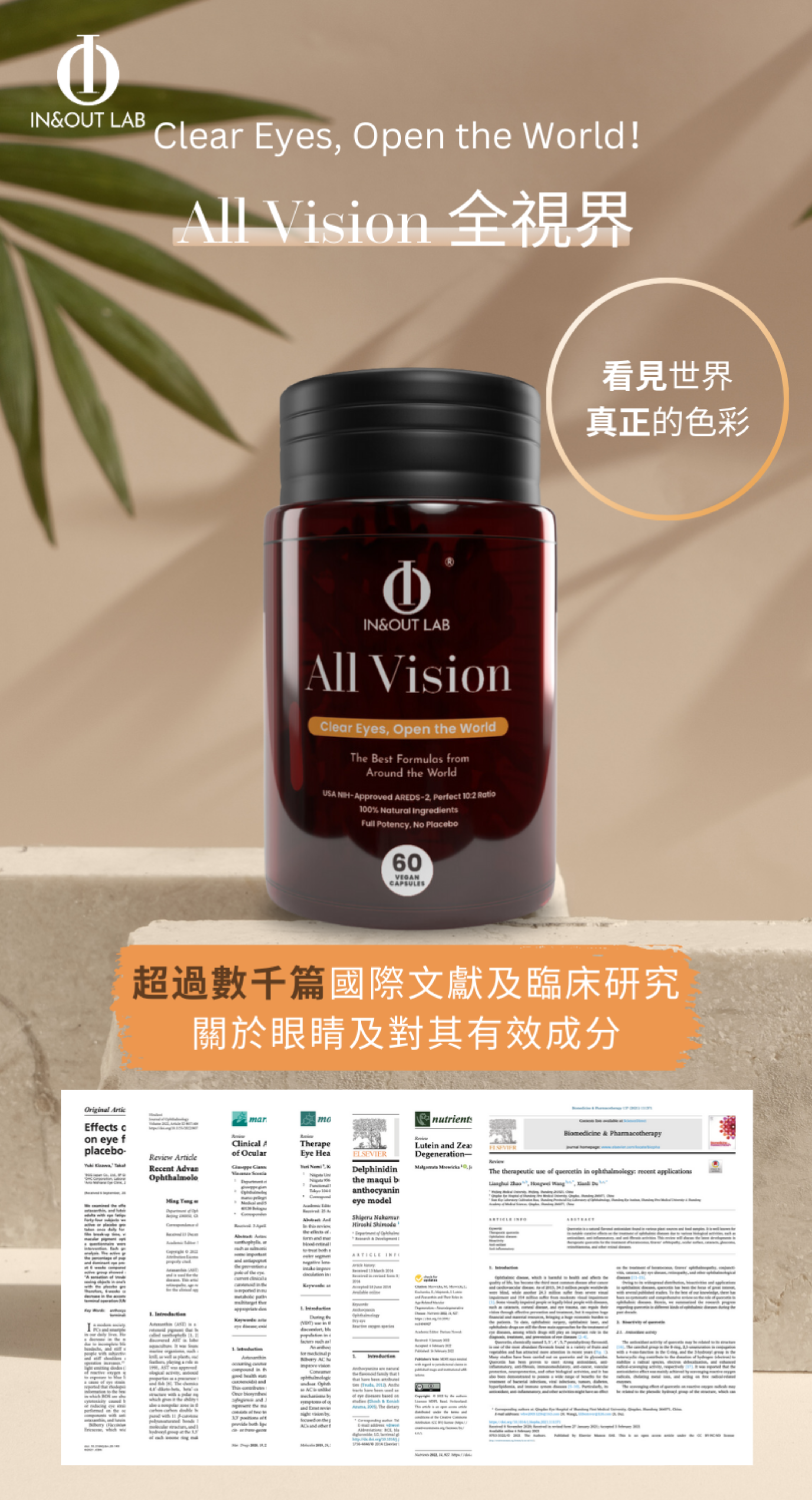 眼睛保健文獻研究